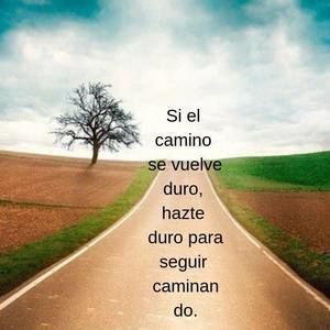 Meet your Posher, Fausto